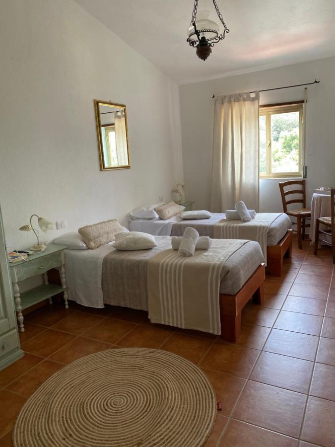 B&B La Pitraia Sant'Antonio di Gallura Zewnętrze zdjęcie