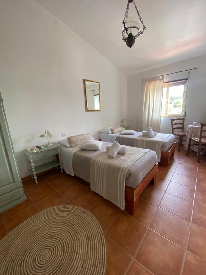 B&B La Pitraia Sant'Antonio di Gallura Zewnętrze zdjęcie